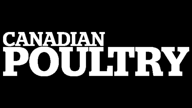 CANADIAN POULTRY: China’s Poultry Industry in Transition