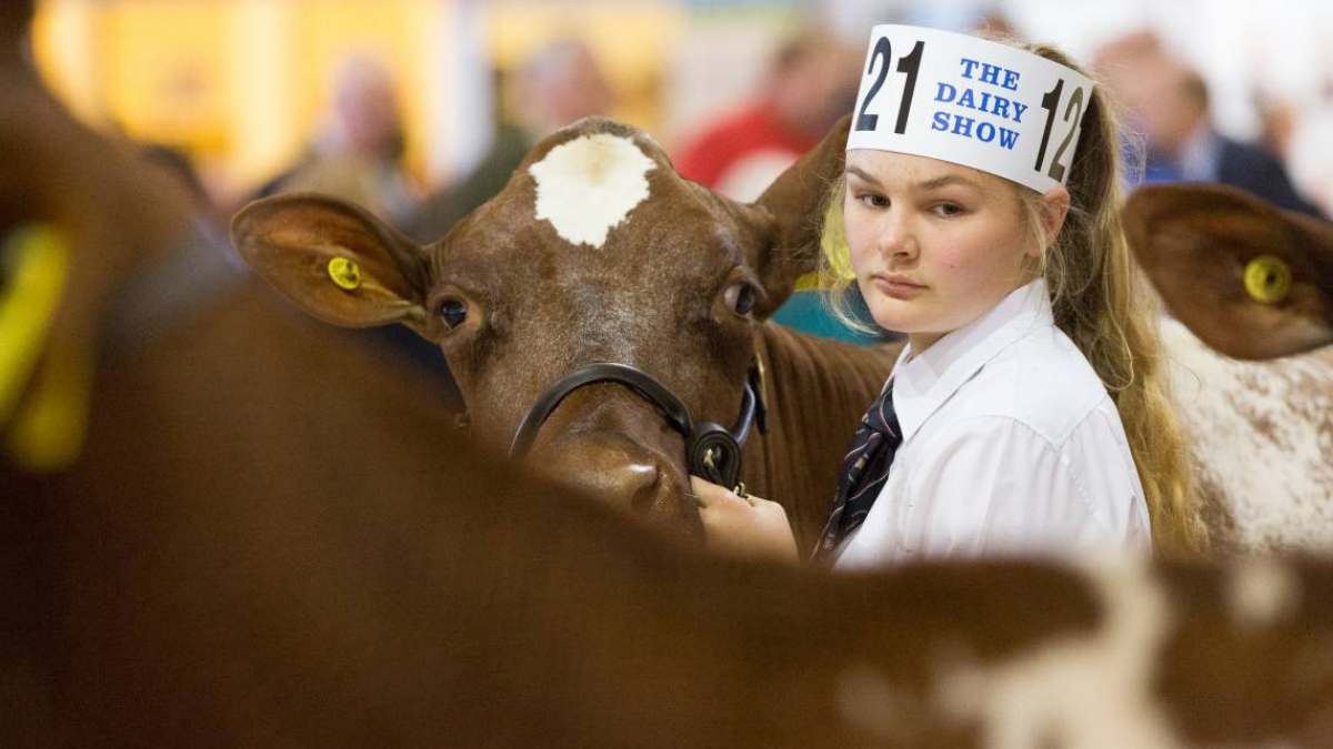 The Dairy Show
