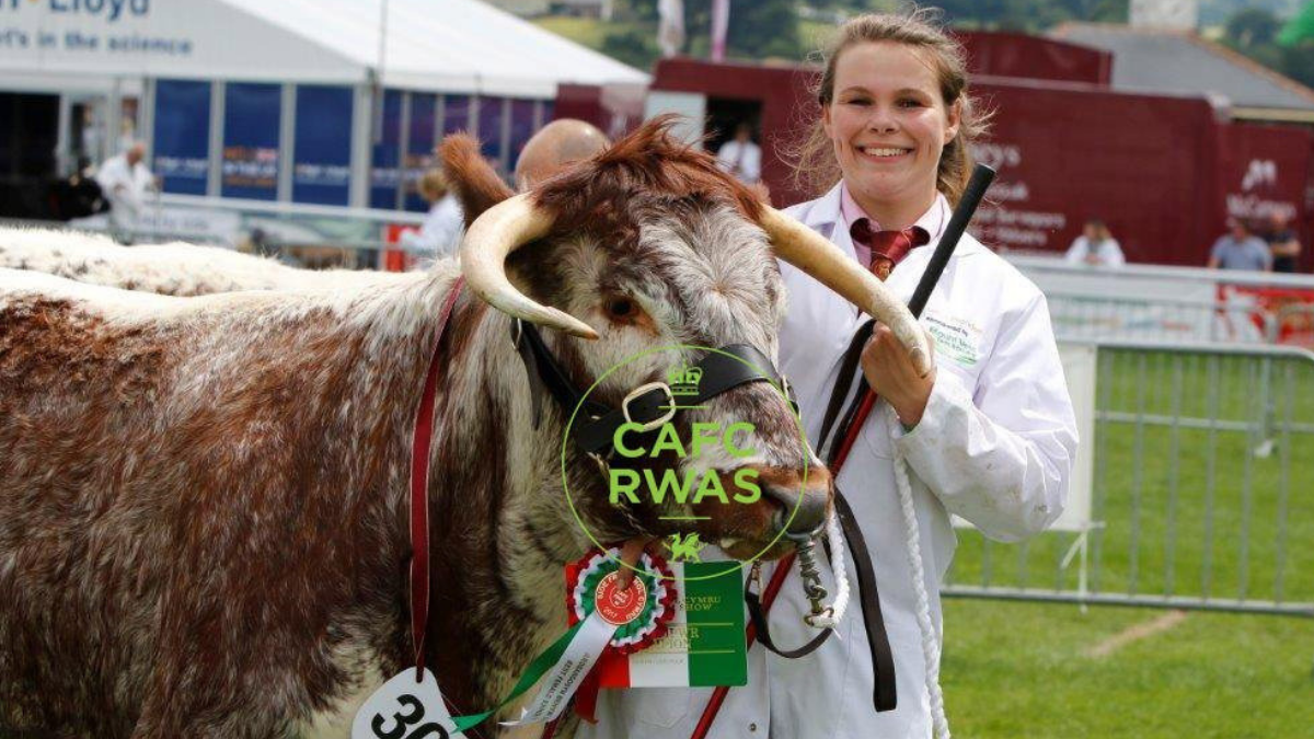 Royal Welsh Show