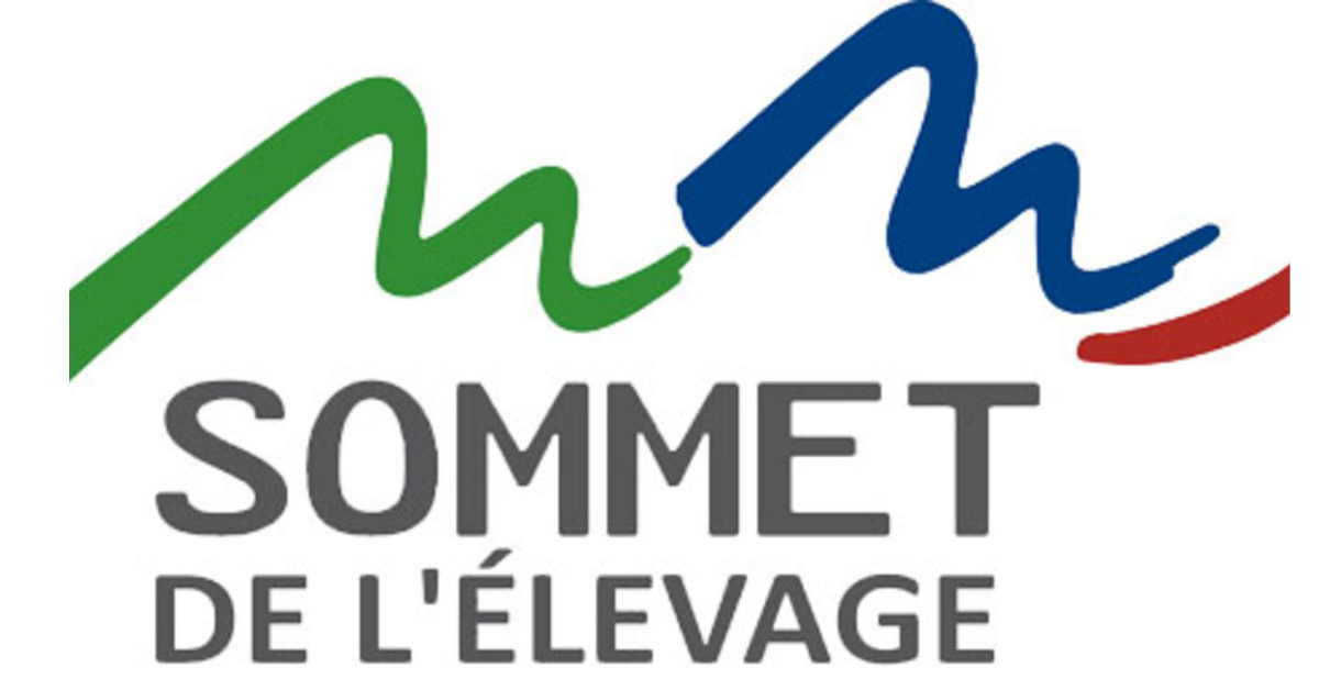 logo sommet
