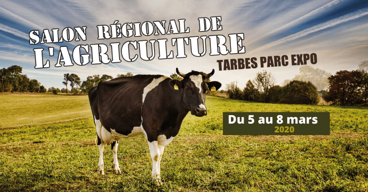 logo tarbes