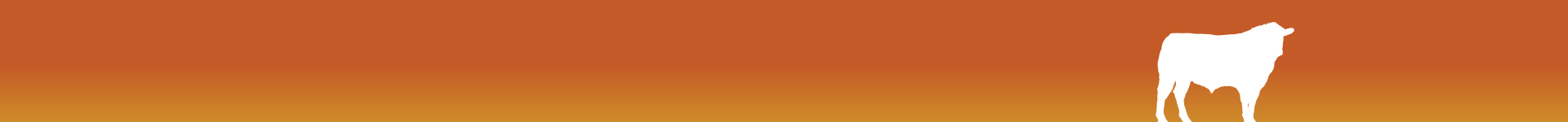 Beef Cattle background banner