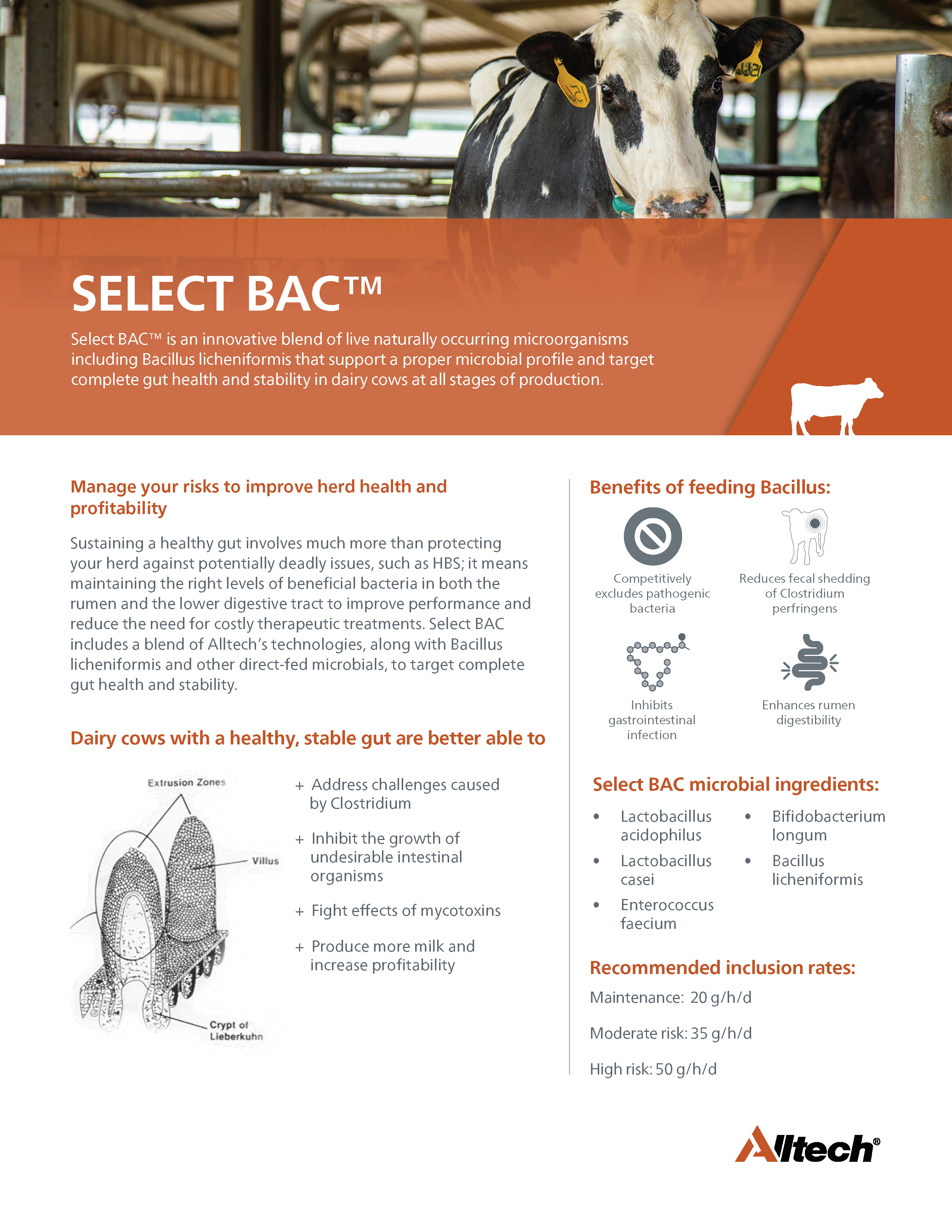 Select BAC flyer