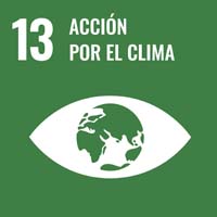 Sustainability Goal 13 - Climate Change Sustainability Goal 13 - Climate Change (icon)