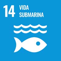 Sustainability Goal 14 - Life Below Water Sustainability Goal 14 - Life Below Water (icon)