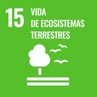 Sustainability Goal 15 - Life on Land Sustainability Goal 15 - Life on Land (icon)