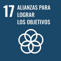Sustainability Goal 17 - Partnership for the Goals Sustainability Goal 17: Partnership for the Goals (icon)