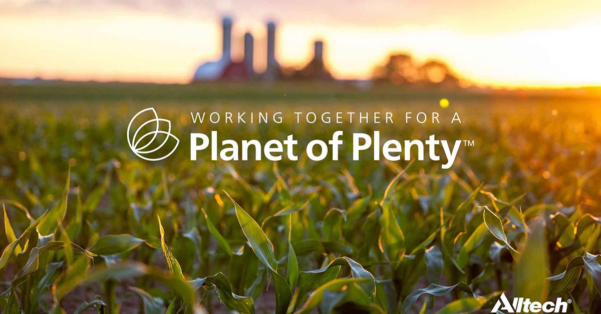 Planet of Plenty social friendly graphic