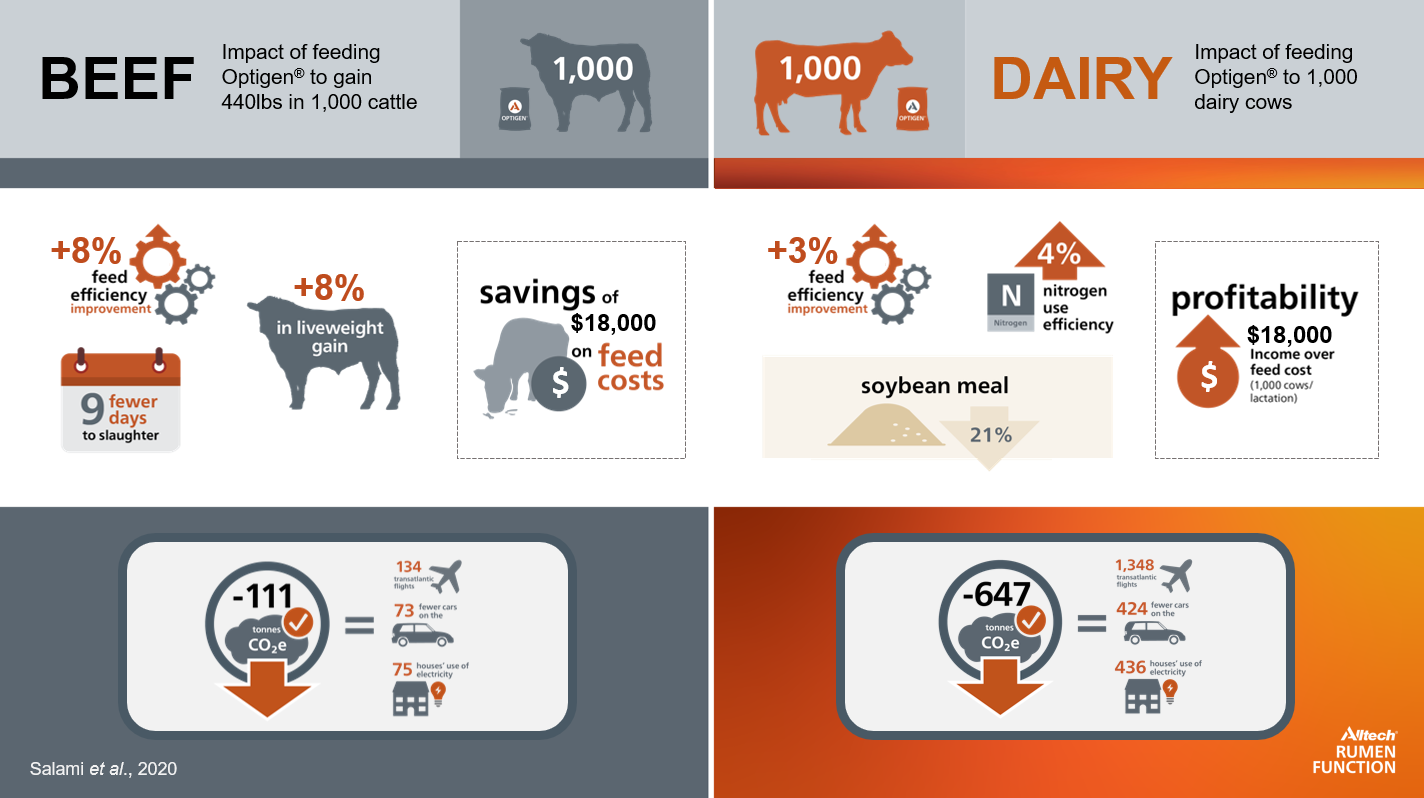 Optigen product infographic