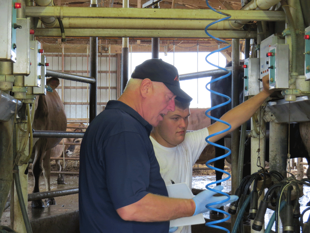 Alltech Herd Analytics On Farm Dairy Support