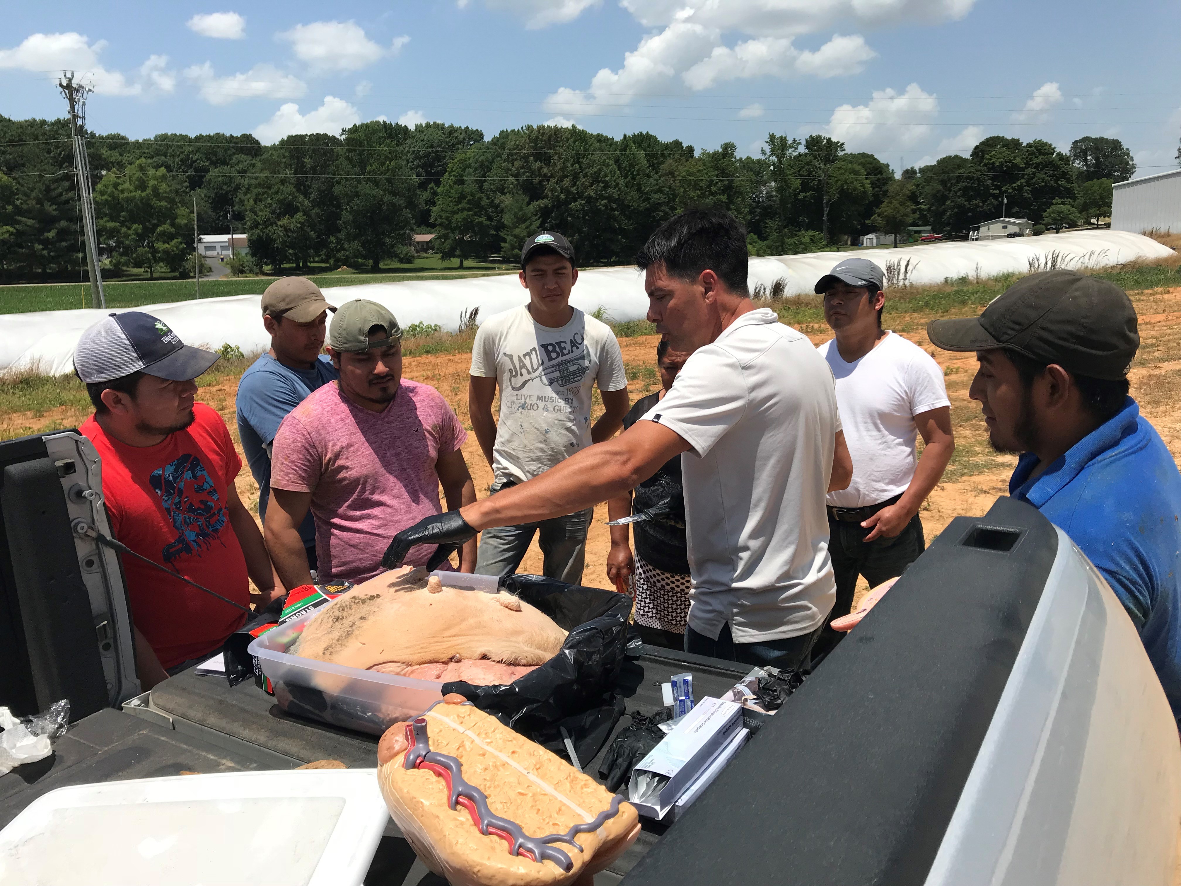 Alltech Cow Comfort On Farm Dairy Support