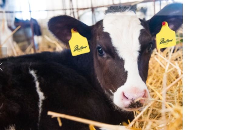 Design your own eartag