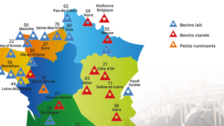 Carte intéractive