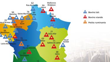 Carte intéractive