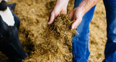 Keenan feeder can reduce methane