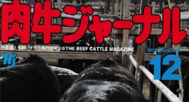 Japanese magazine image