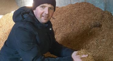 Unique calf mix on Gilligan's farm