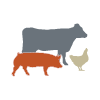 cow, pig, poultry icons