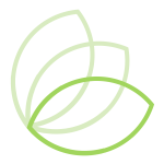 bottom leaf
