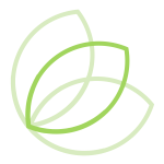middle leaf