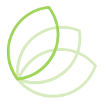 top leaf