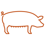 Digital PNG-icon-sow-P167.png